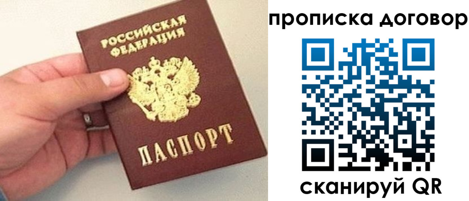 прописка регистрация в Димитровграде